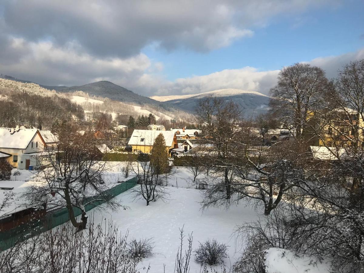 Mezonetovy Apartman Isabela Loučná nad Desnou Eksteriør bilde